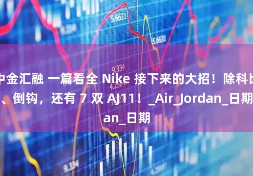 中金汇融 一篇看全 Nike 接下来的大招！除科比、倒钩，还有 7 双 AJ11！_Air_Jordan_日期